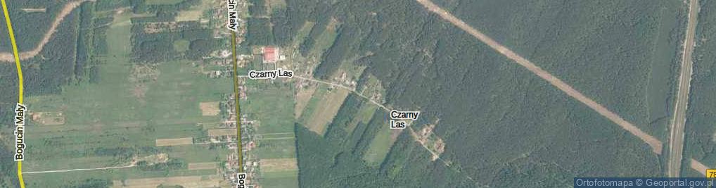 Zdjęcie satelitarne Czarny Las ul.